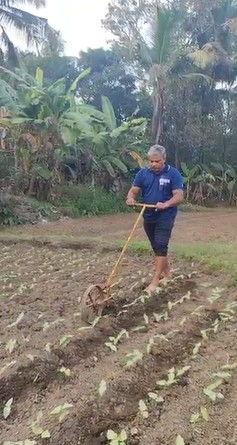 Traditional Cultivation