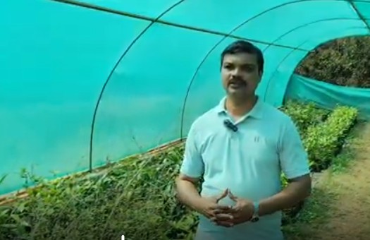 Sachin Chorge Farmer Collective Sindhudurg